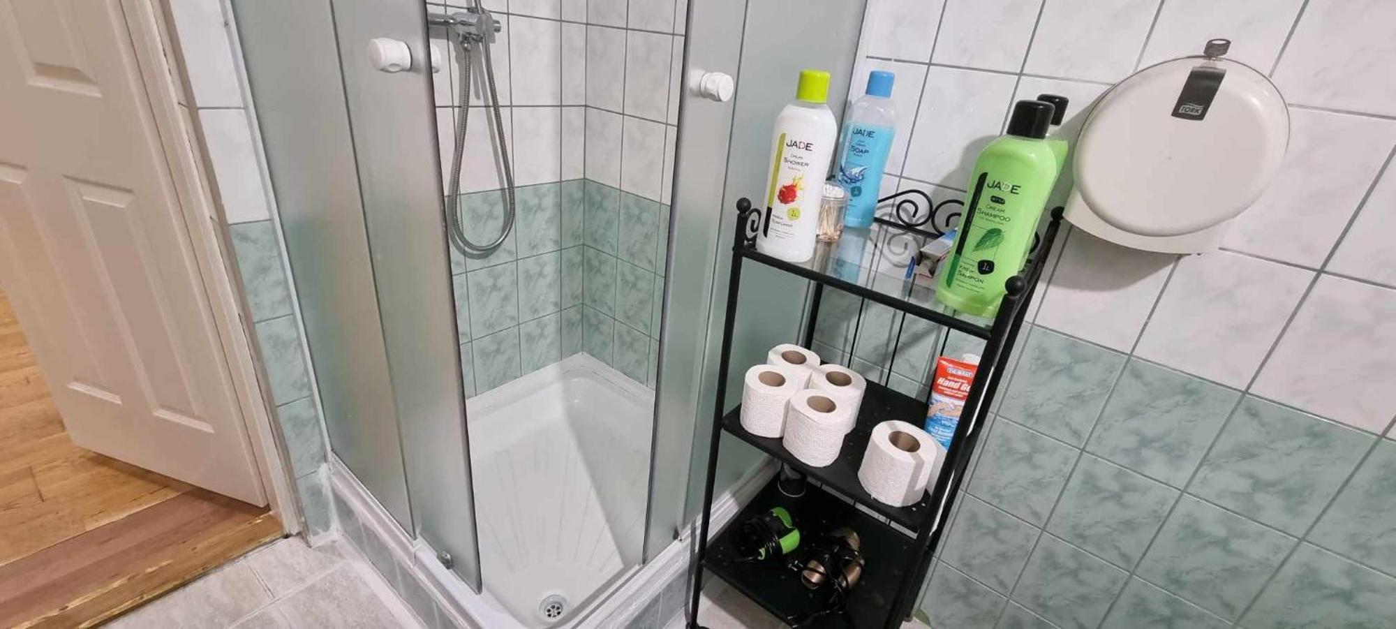 A & E Apartment בודפשט מראה חיצוני תמונה
